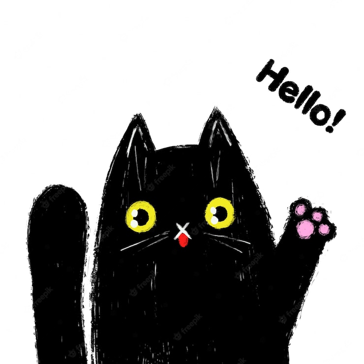 black cat says hello
